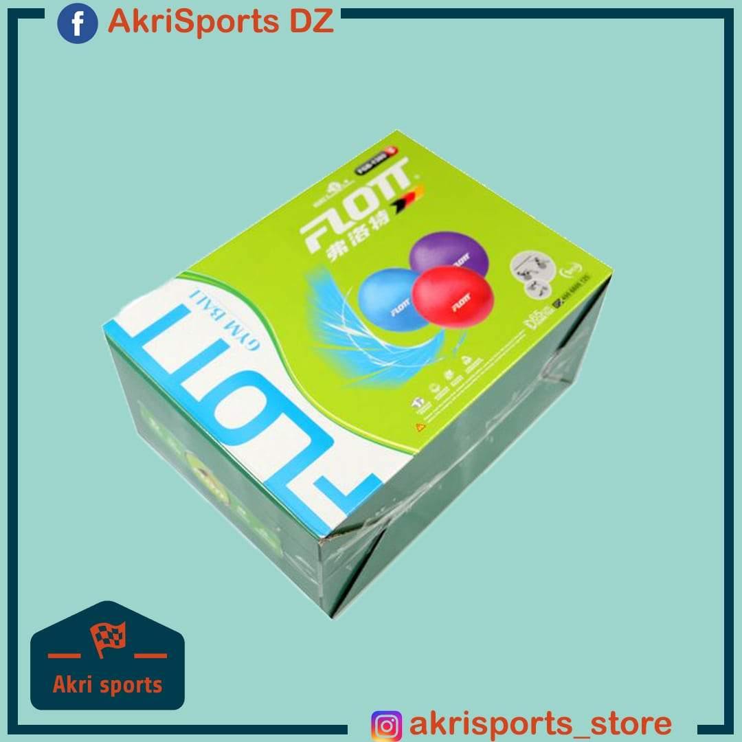 Ballon de Gym (FGB-1380 FLOTT) - AkriSportsDZ™